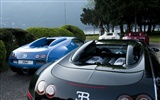 Bugatti Veyron Wallpaper Album (2) #15