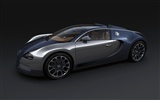 Bugatti Veyron 布加迪威龙 壁纸专辑(二)17
