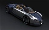 Bugatti Veyron 布加迪威龙 壁纸专辑(二)18