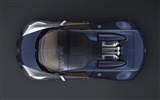 Bugatti Veyron 布加迪威龙 壁纸专辑(二)19