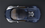 Album Bugatti Veyron Wallpaper (2) #19