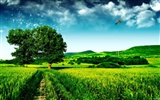 HD Widescreen Landscape Wallpapers