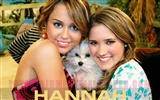 Hannah Montana 漢娜蒙塔納