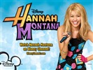 Hannah Montana Wallpaper #12