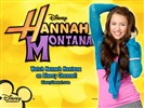 Hannah Montana Wallpaper #13