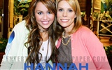 Hannah Montana fondo de pantalla #16