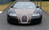 Bugatti Veyron 布加迪威龙 壁纸专辑(三)8