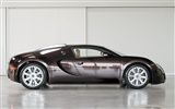 Bugatti Veyron 布加迪威龙 壁纸专辑(三)9