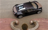 Bugatti Veyron Wallpaper Album (3) #11