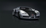 Bugatti Veyron 布加迪威龙 壁纸专辑(三)18