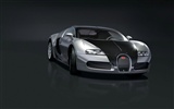 Bugatti Veyron Wallpaper Album (3) #18