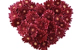 Love heart wallpaper album (4) #12
