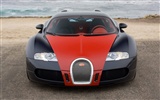 Bugatti Veyron 布加迪威龙 壁纸专辑(四)1