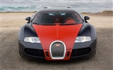 Bugatti Veyron Wallpaper Album (4) #1