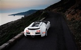 Bugatti Veyron 布加迪威龙 壁纸专辑(四)2