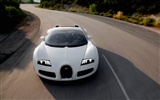 Bugatti Veyron 布加迪威龙 壁纸专辑(四)4