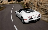 Bugatti Veyron 布加迪威龙 壁纸专辑(四)5