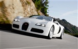 Bugatti Veyron Wallpaper Album (4) #6