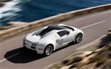 Bugatti Veyron 布加迪威龙 壁纸专辑(四)7