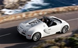 Bugatti Veyron Wallpaper Album (4) #8