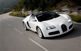 Bugatti Veyron Wallpaper Album (4) #9