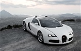 Bugatti Veyron 布加迪威龙 壁纸专辑(四)10