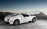 Bugatti Veyron 布加迪威龙 壁纸专辑(四)11
