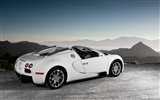 Bugatti Veyron Wallpaper Album (4) #11