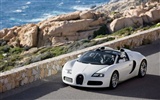 Bugatti Veyron 布加迪威龙 壁纸专辑(四)14