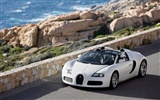 Bugatti Veyron Wallpaper Album (4) #14