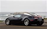 Bugatti Veyron Wallpaper Album (4) #15