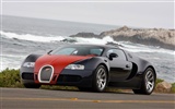 Bugatti Veyron Wallpaper Album (4) #16