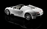 Bugatti Veyron 布加迪威龙 壁纸专辑(四)17