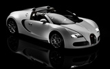 Bugatti Veyron 布加迪威龙 壁纸专辑(四)19