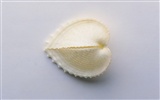 Conch Shell album papier peint (1) #12