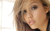 美女Jessica Alba 傑西卡·奧爾巴壁紙(六) #9