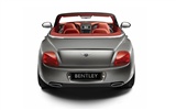 Bentley wallpaper album (1) #19