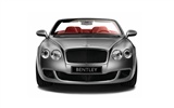 Bentley wallpaper album (1) #20