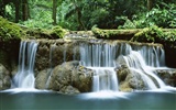 fondos de pantalla naturales de Tailandia belleza #10