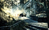 Fond d'écran Crysis 2 HD #6