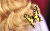 Schmetterlinge und Blumen Wallpaper Album (1) #7