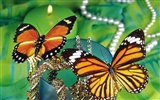 Butterflies and flowers wallpaper album (1) #11