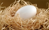Velikonoční vajíčko tapety (1)
