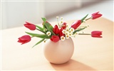 Room Flower photo wallpapers #12