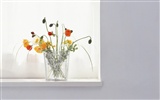 Room Flower photo wallpapers #25