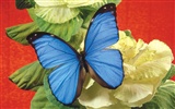 Papillons et fleurs album papier peint (2) #9