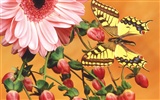 Butterflies and flowers wallpaper album (2) #11