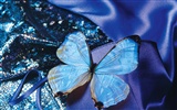 Papillons et fleurs album papier peint (2) #15