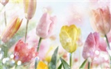 Fantasy CG Hintergrund Flower Wallpapers #9