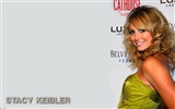 Stacy Keibler 斯泰西·凱布勒美女壁紙 #4